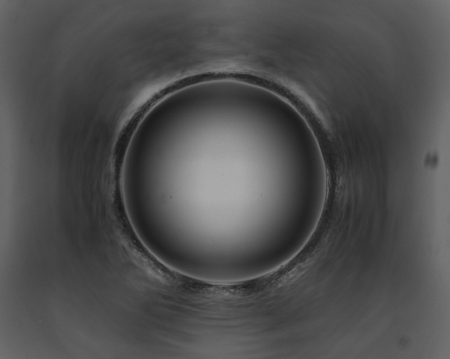 X0000091711270200708241238