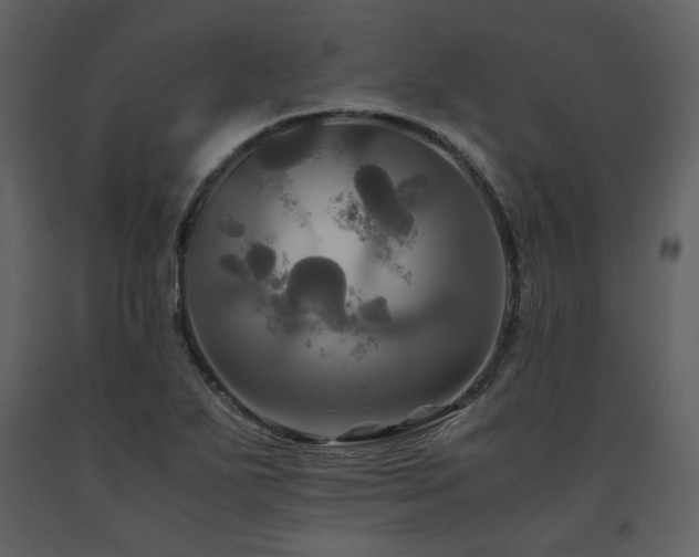 X0000091711271200708241238