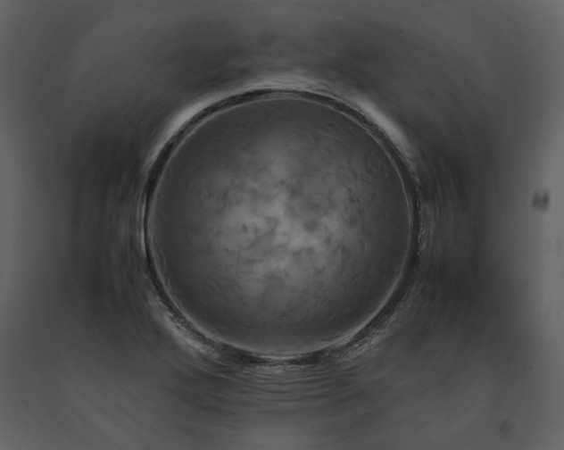 X0000091711272200708241238