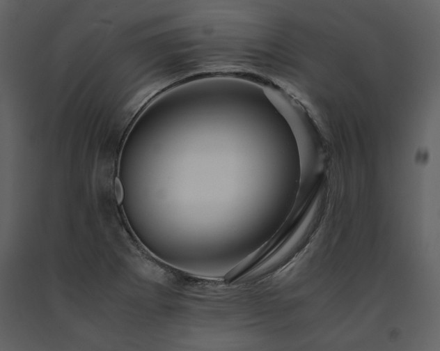X0000091711273200708241238