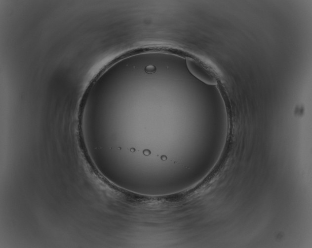 X0000091711279200708241238