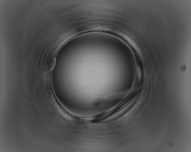 X0000091711281200708241238