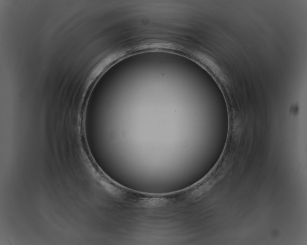 X0000091711282200708241238