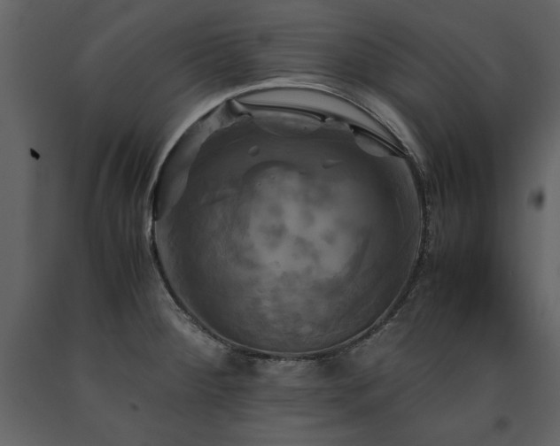 X0000091711284200708241238