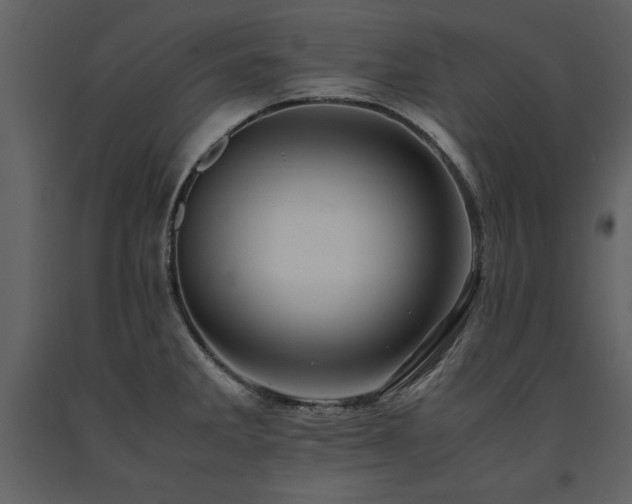 X0000091711285200708241238