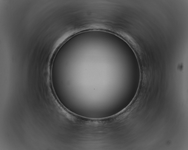 X0000091711286200708241238
