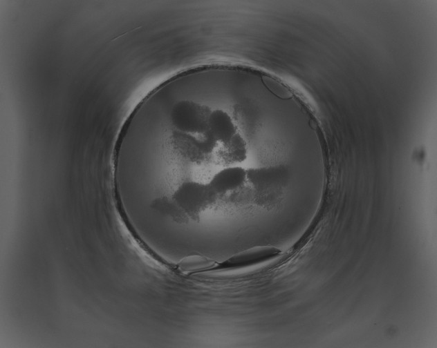 X0000091711287200708241238