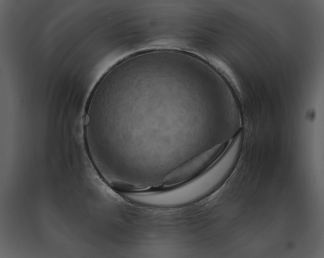 X0000091711288200708241238