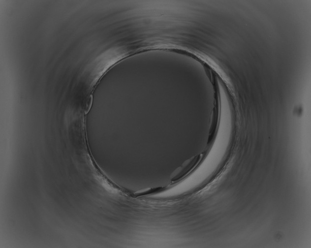 X0000091711289200708241238