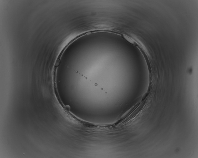 X0000091711291200708241238