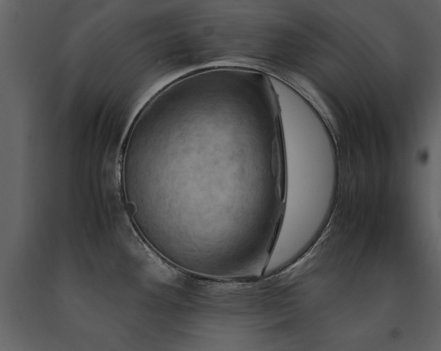 X0000091711292200708241238