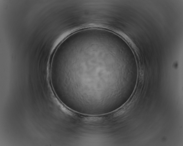 X0000091711294200708241238