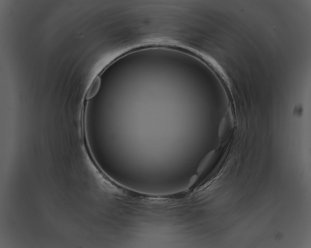 X0000091711295200708241238