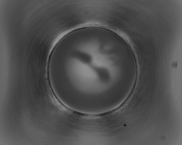 X0000091711296200708241238