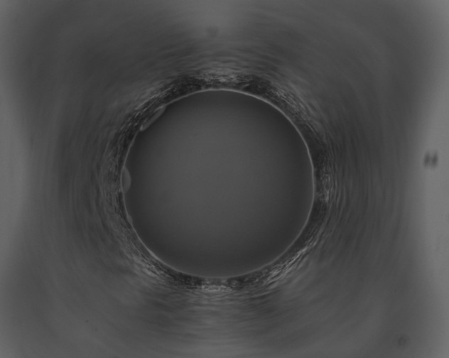 X0000091711297200708241237