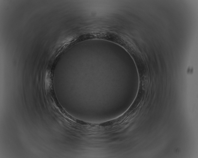 X0000091711298200708241237