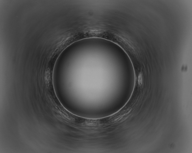 X0000091711299200708241237