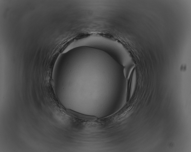 X0000091711300200708241237
