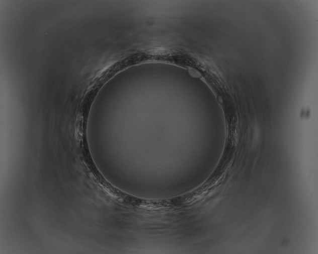 X0000091711301200708241237