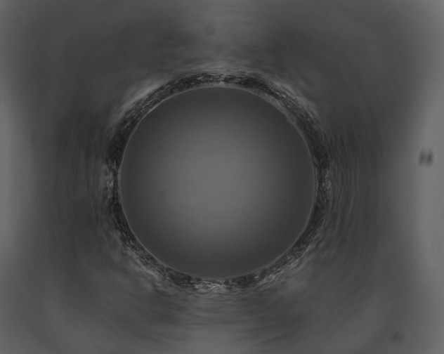 X0000091711302200708241237