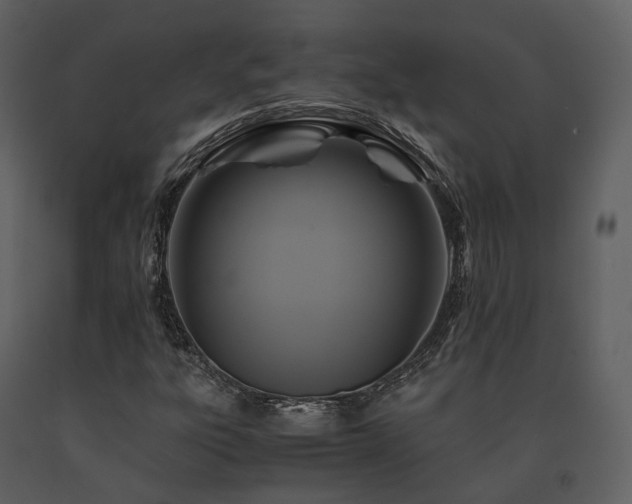 X0000091711303200708241237
