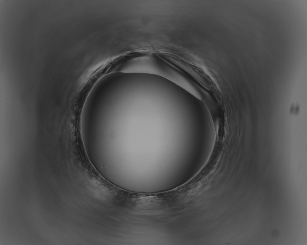 X0000091711304200708241237