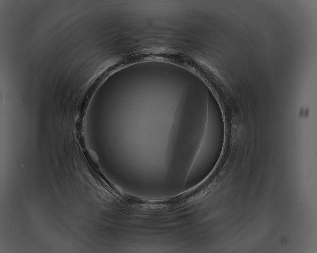 X0000091711305200708241237