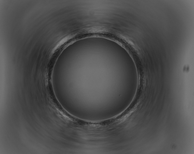 X0000091711306200708241237