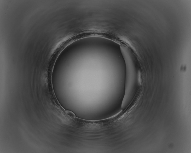 X0000091711307200708241237
