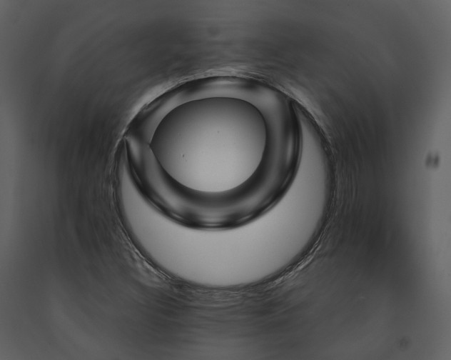 X0000091711308200708241237