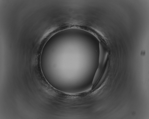 X0000091711309200708241237
