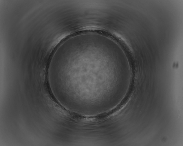 X0000091711313200708241237