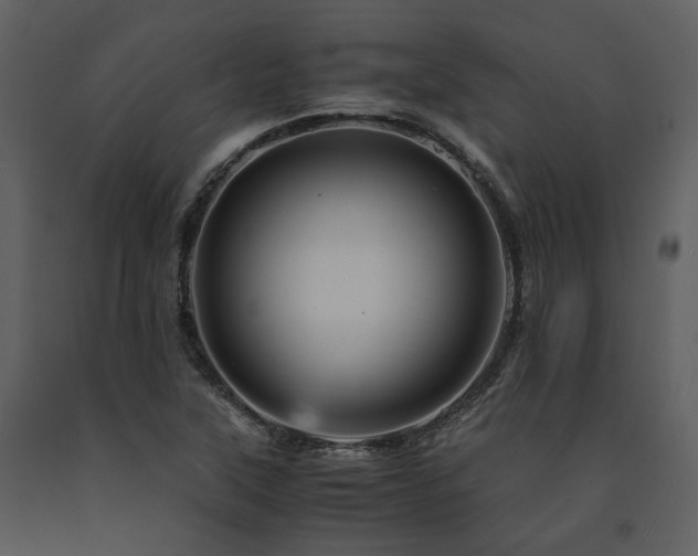 X0000091711315200708241237