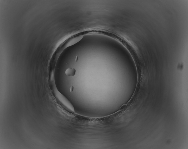 X0000091711316200708241237