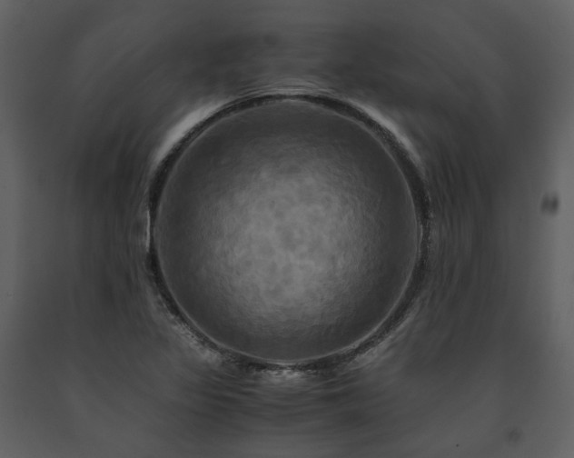 X0000091711317200708241237