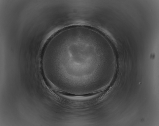 X0000091711318200708241237