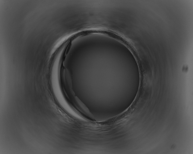 X0000091711319200708241237