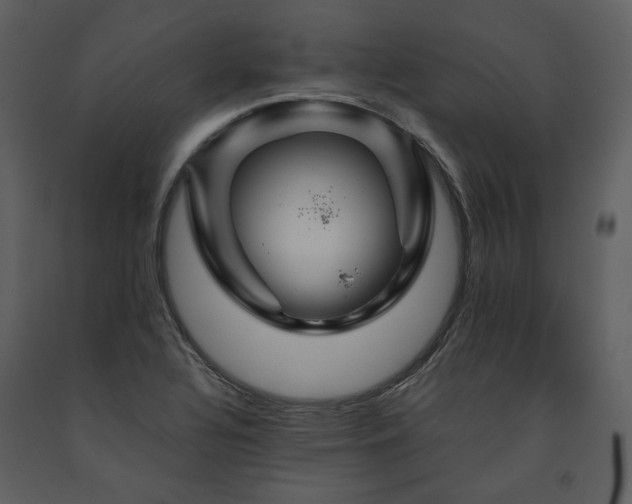 X0000091711320200708241237
