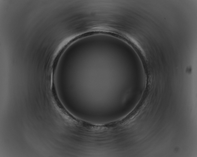 X0000091711323200708241237