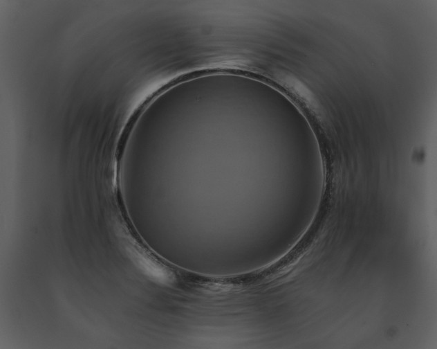 X0000091711324200708241237