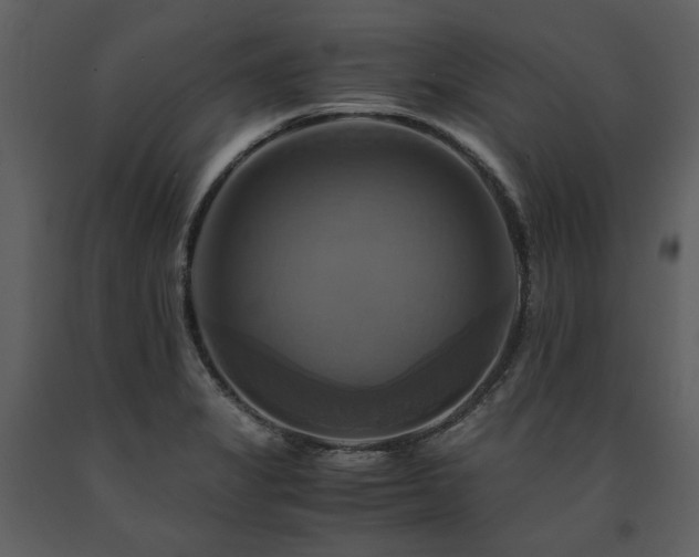 X0000091711325200708241237