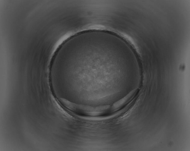 X0000091711326200708241237
