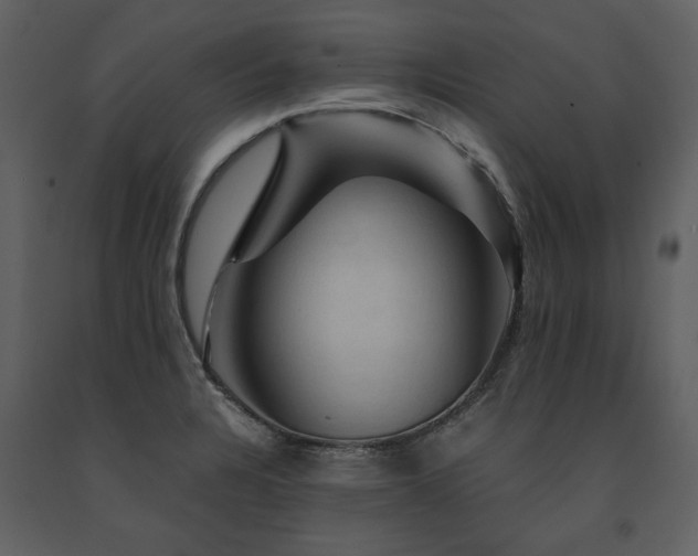 X0000091711328200708241237