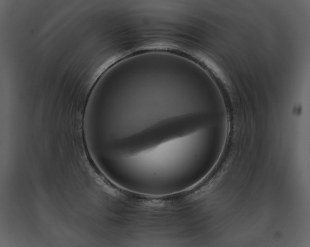 X0000091711329200708241237