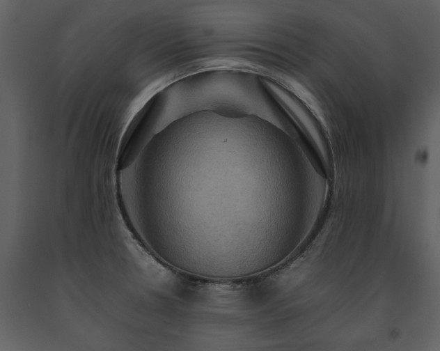 X0000091711330200708241237