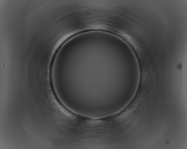 X0000091711331200708241237
