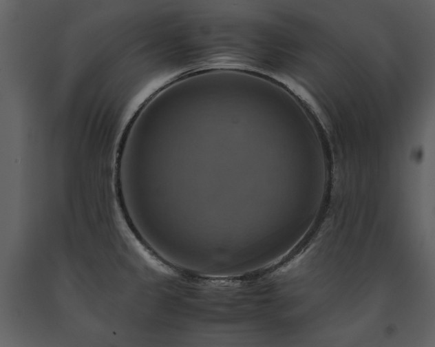 X0000091711333200708241238