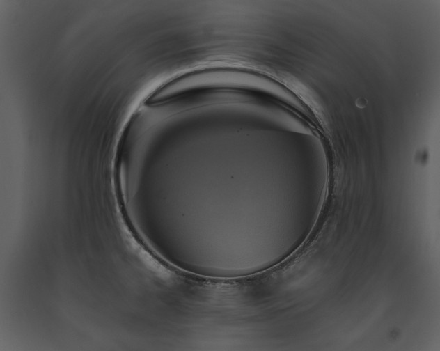 X0000091711334200708241238