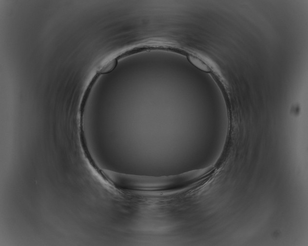 X0000091711335200708241238