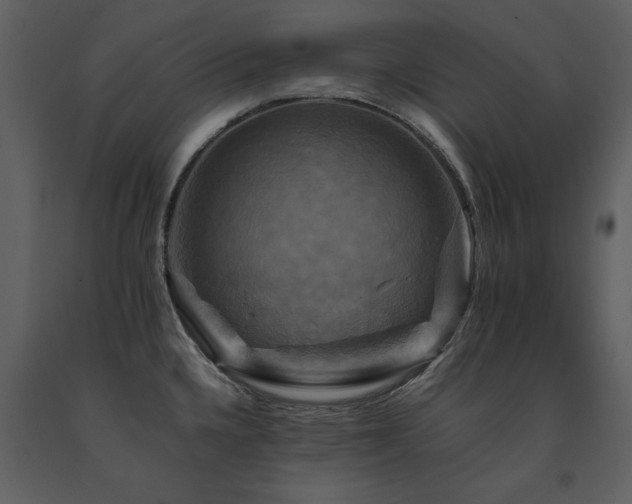X0000091711336200708241238